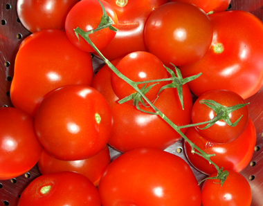 tomaten